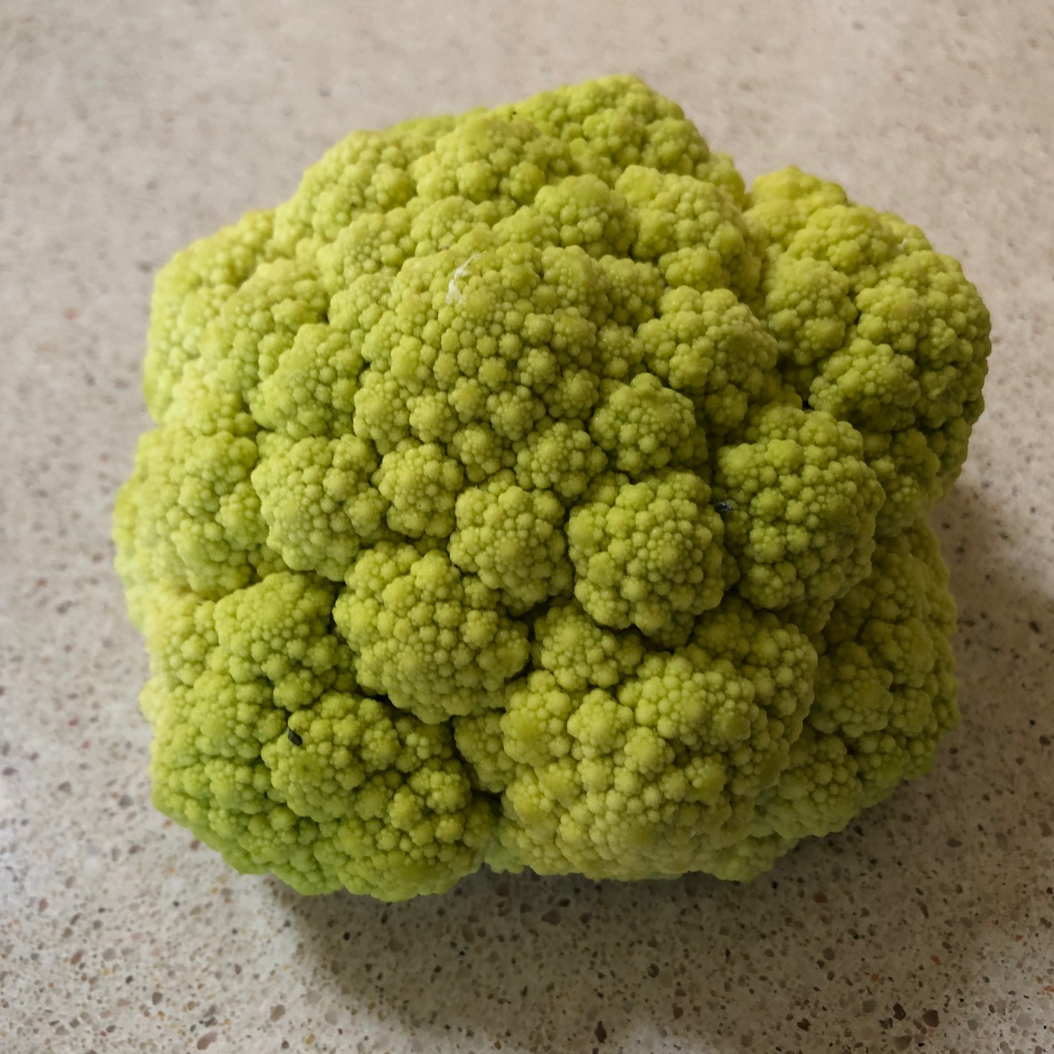 Sacramento Digs Gardening Cauliflower of any color is a canvas for