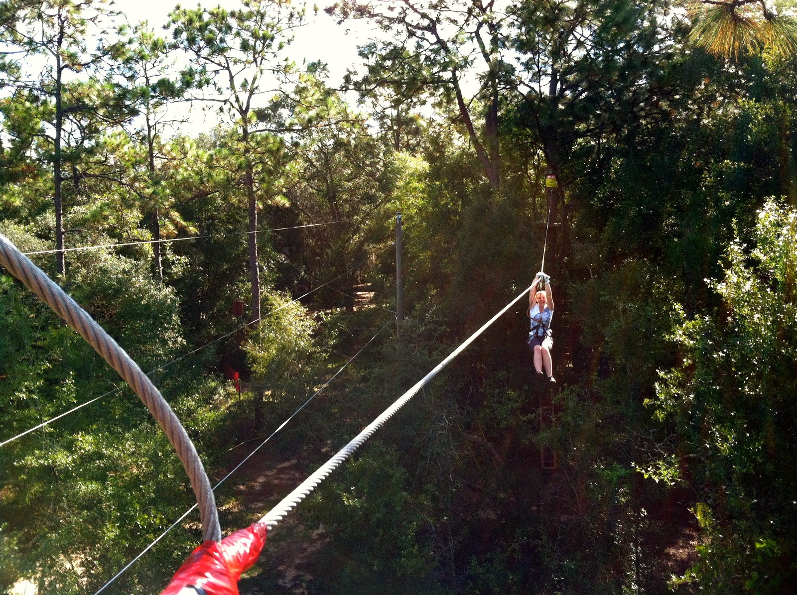 The TreetoTree Adventure at Tallahassee Museum The World of Deej
