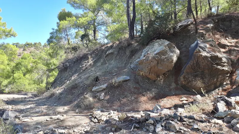 Debris from flowing water