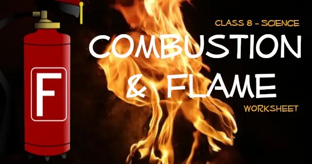 CBSE Papers, Questions, Answers, MCQ: CBSE Class 8 - Science