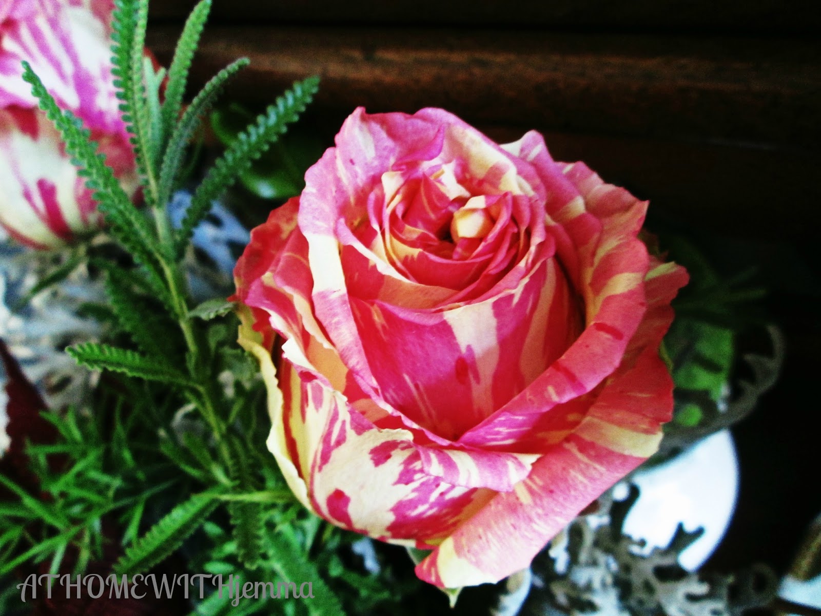 The Flower Company January 2011