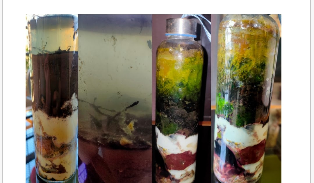 THE WINOGRADSKY COLUMN