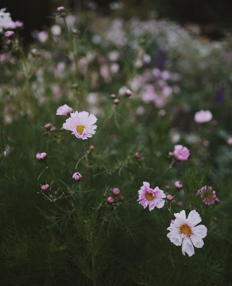 At this Moment | Things We Love: Milli Proust Flowers