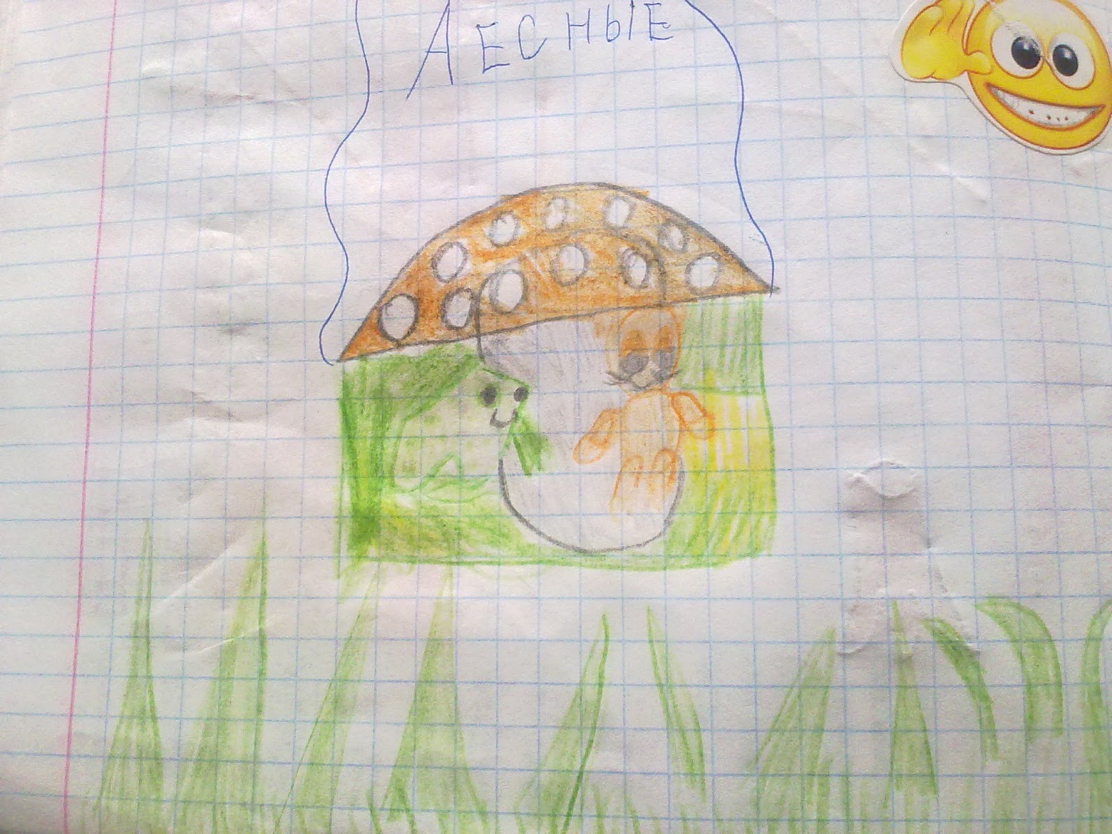 Книжкин дом: Книга великих открытий