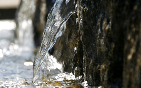 Tree planting slow watering system for deep and healthy roots