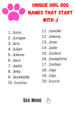 Unique Girl Dog Names That Start with J