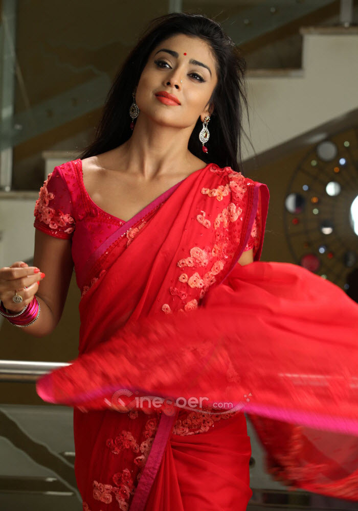Only Actress 143 Shriya Saran Hot Red Saree Pavithra Movie 