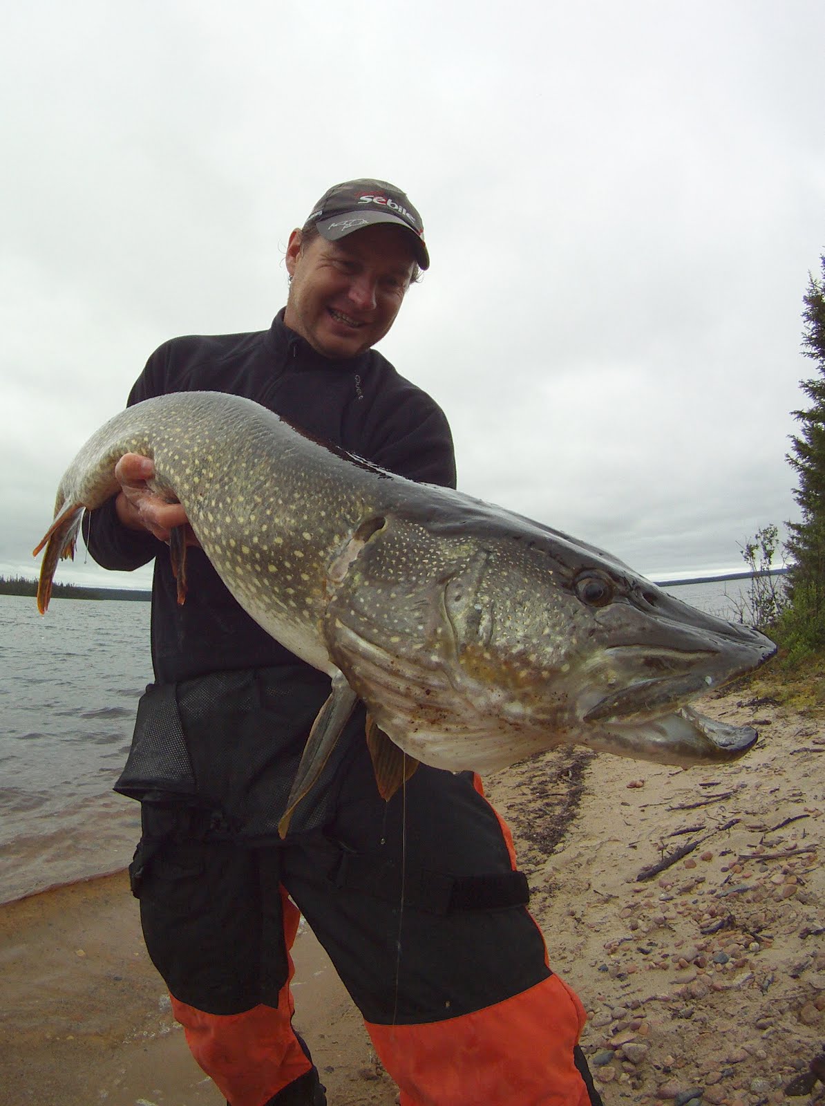 Je Vais Séduire Le Duc Du Nord La pêche aux pêcheurs, le thon 100 % leurres: Départ pour le Québec et