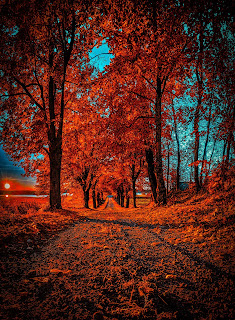 CB Editing Background