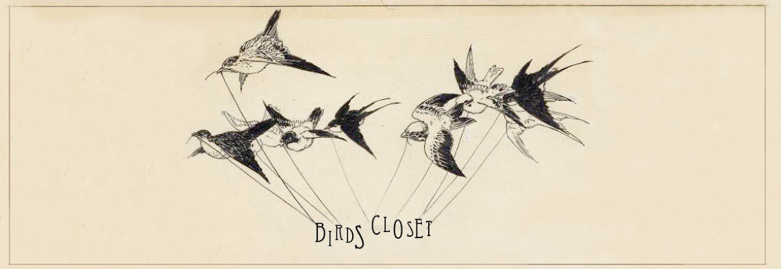 Birds closet