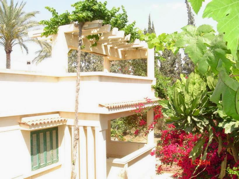 مزرعة للبيع بالاسكندرية Farm for sale in Egypt in Alexandria مزارع
