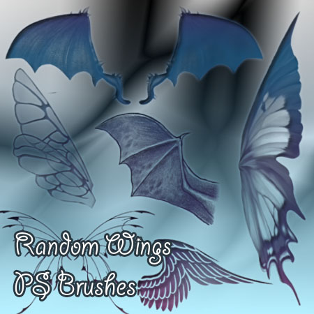 random%2Bwings.jpg