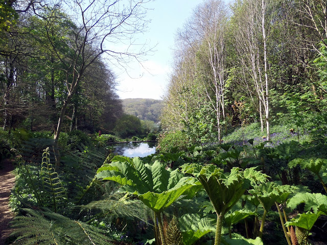 Cornwall, Trebah, English Garden view