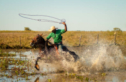 cowboy-horse-pantanal-vetarq