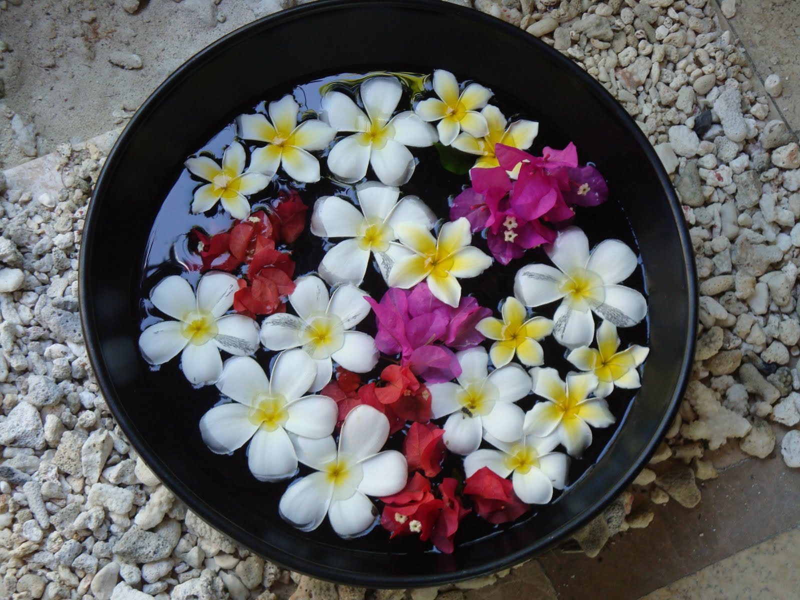 Craft Supplies Butterfly, Shell And Flower With International Shipping