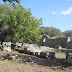 Situl arheologic Olympia - 3