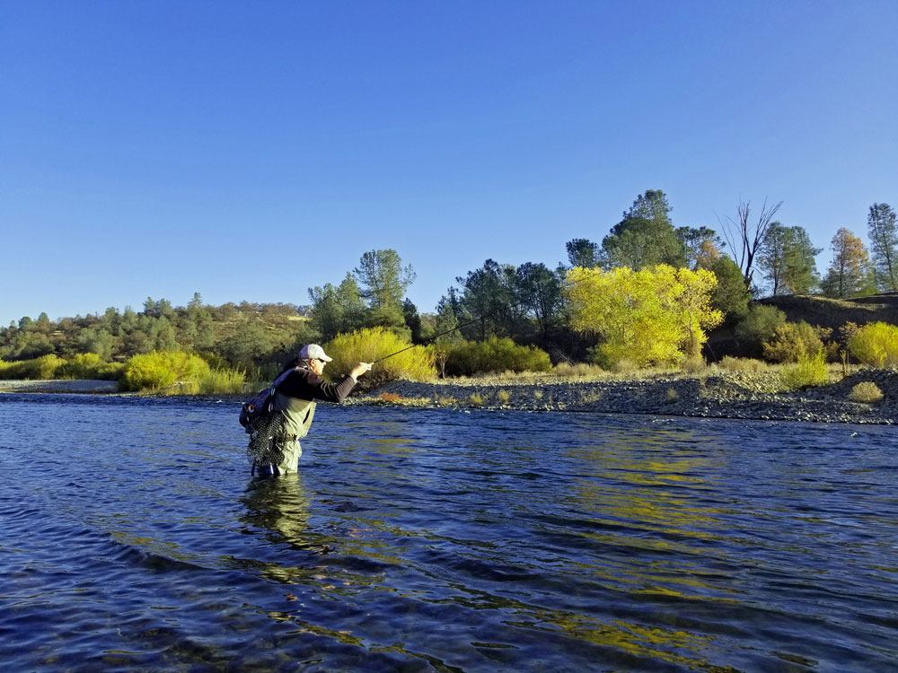 Jon Baiocchi Fly Fishing News Lower Yuba River Fly Fishing Report 12/5