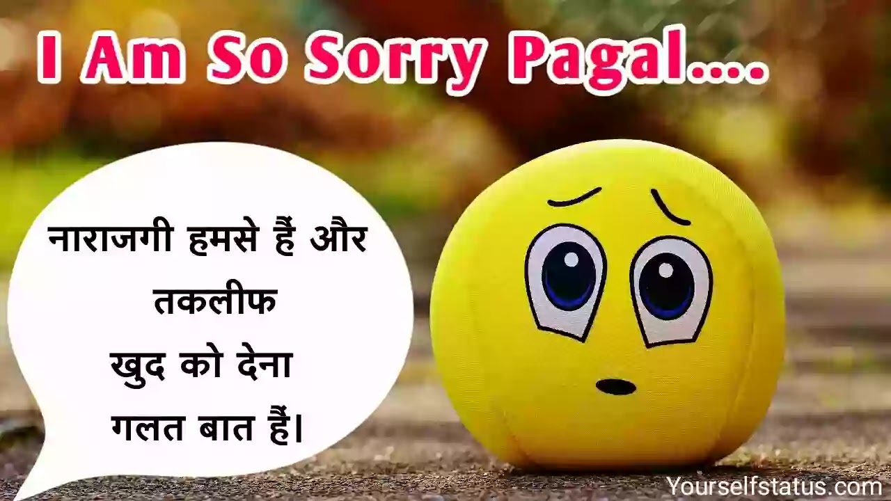 Sorry-whatsapp-Status-hindi