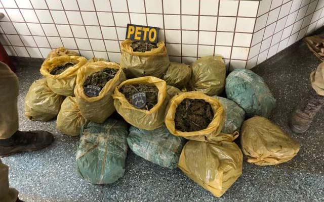 Operação da polícia apreende 30 quilos de maconha em Lauro de Freitas