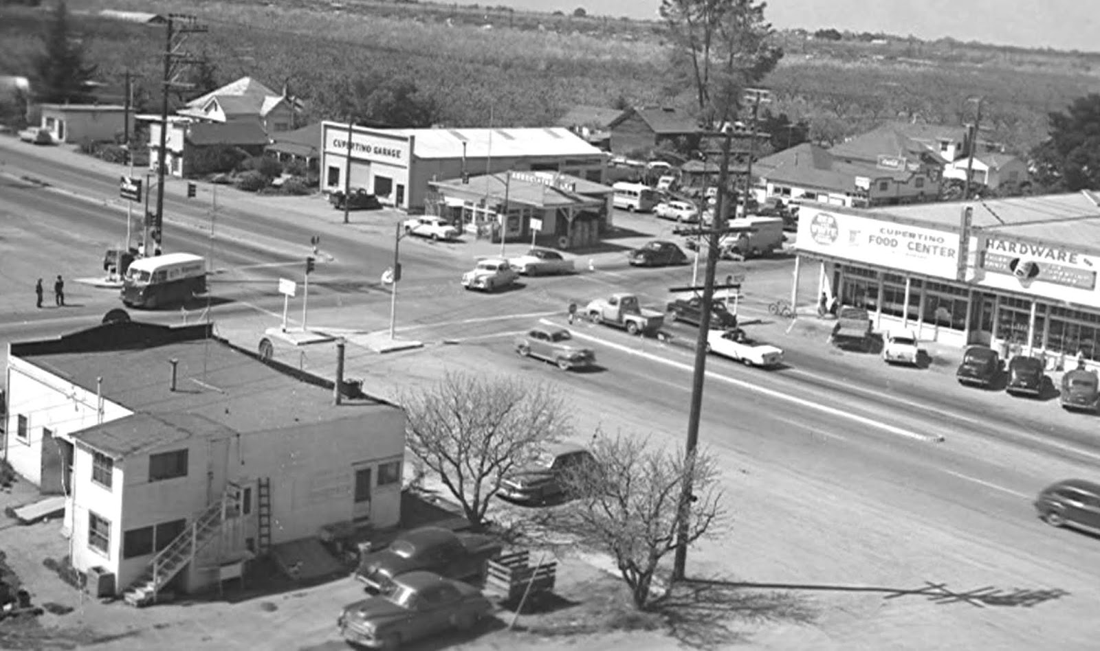 Forestdweller Cupertino Crossroads