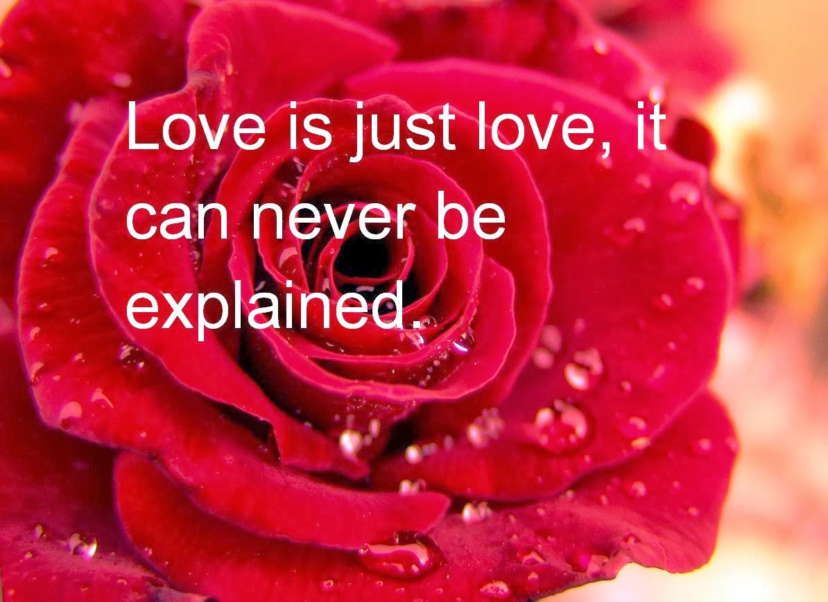 Love Thoughts Quotes For Valentine Day