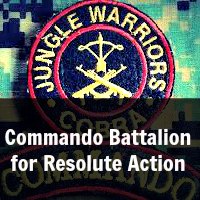 COBRA Commando Battalion for Resolute Action