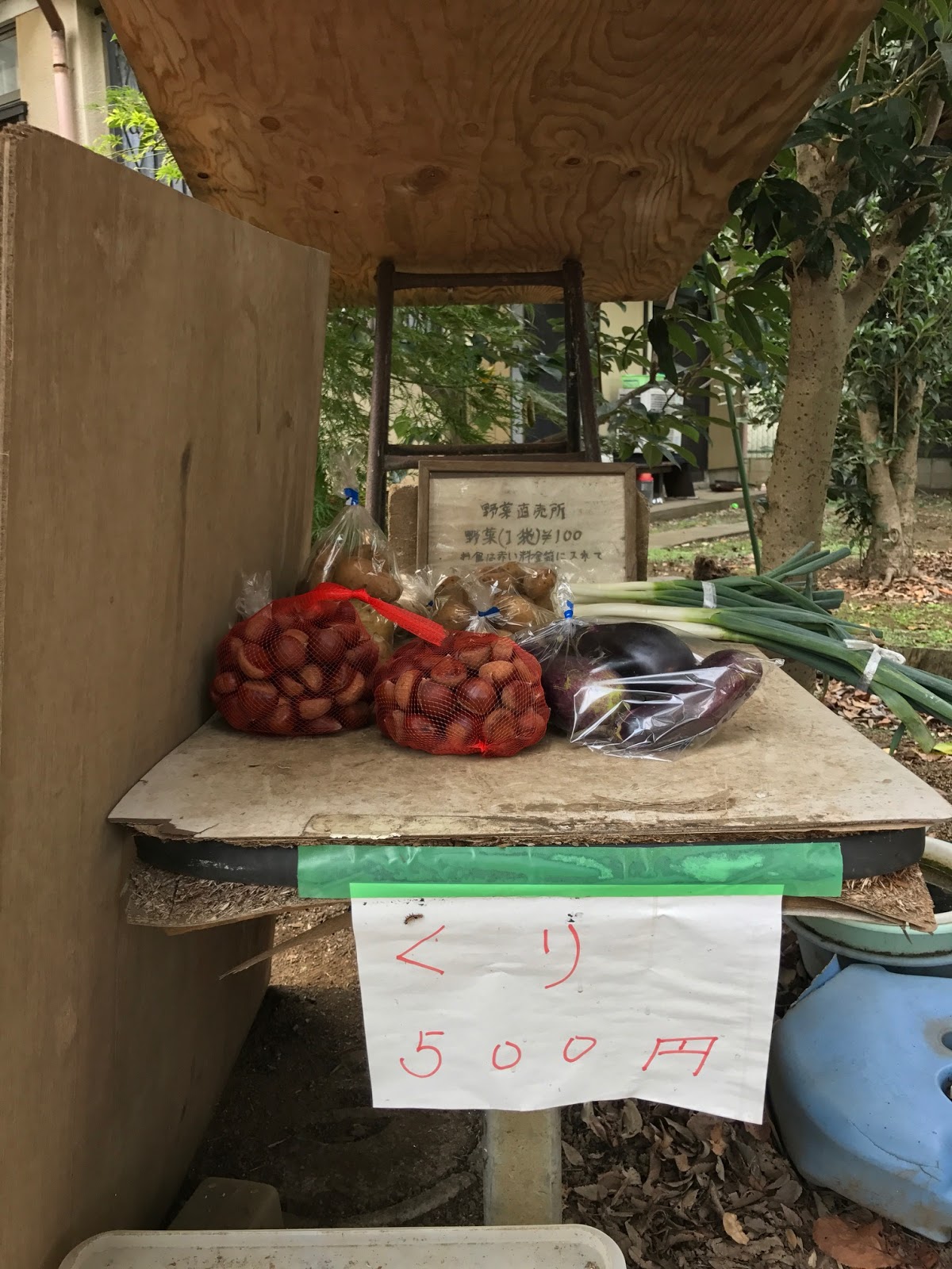 葉織 Haori Flowers 新宿区のお花屋さん 新座市界隈の散策