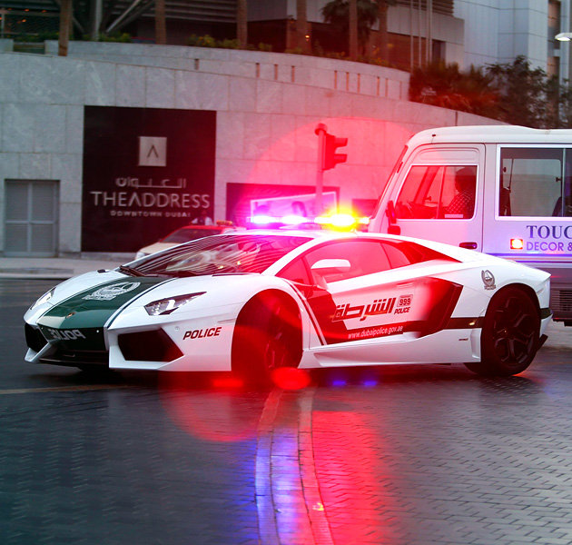 Дубай гай Дубай гай