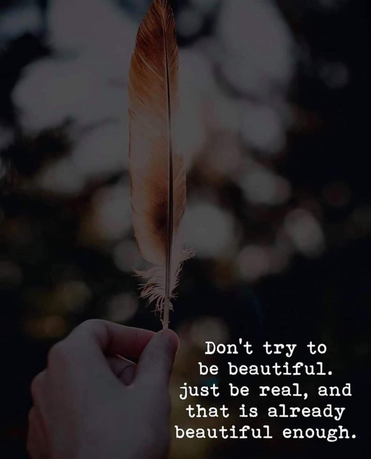 50+ The Best Whatsapp Status, The Best Status For Whatsapp Whatsapp