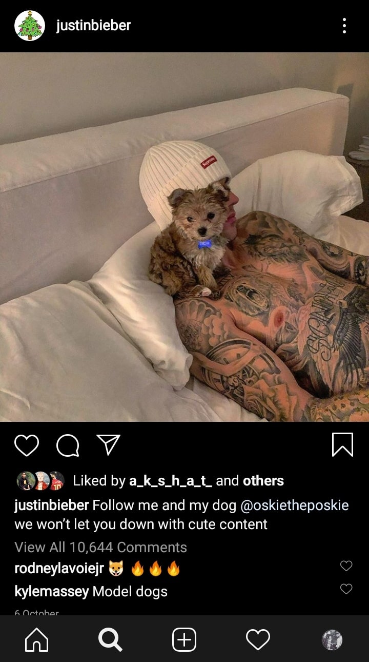 top 60 funny instagram captions you must read status square status square top 60 funny instagram captions you