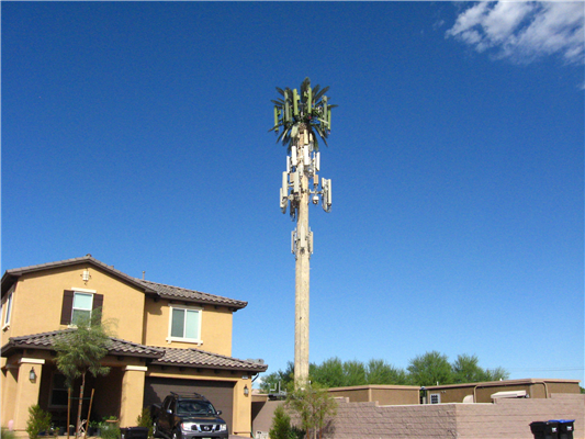 Cell Tower in Back of Home