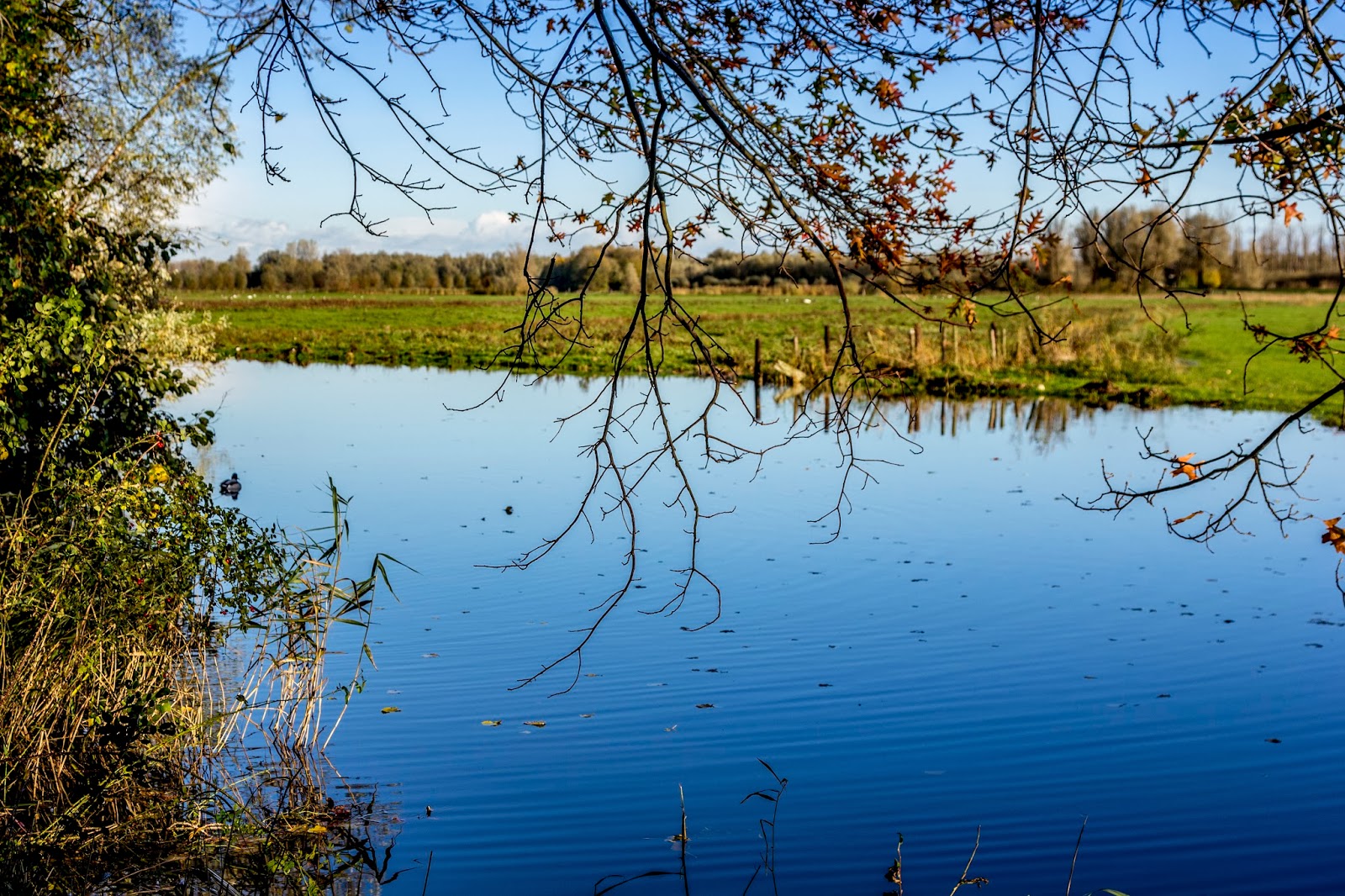 de hdrwereld van elti Teveel water in de Merwelanden