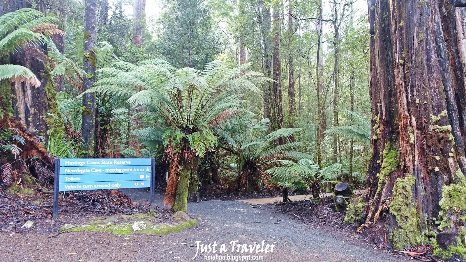 塔斯馬尼亞-南部-景點-推薦-Hastings-Caves-Thermal-Springs-旅遊-自由行-澳洲-Tasmania-Tourist-Attraction-Travel-Australia