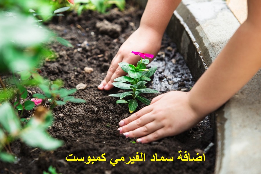 نظيره علامة تجارية مزيج فوائد شاي الكمبوست caringforcarersindacorum com