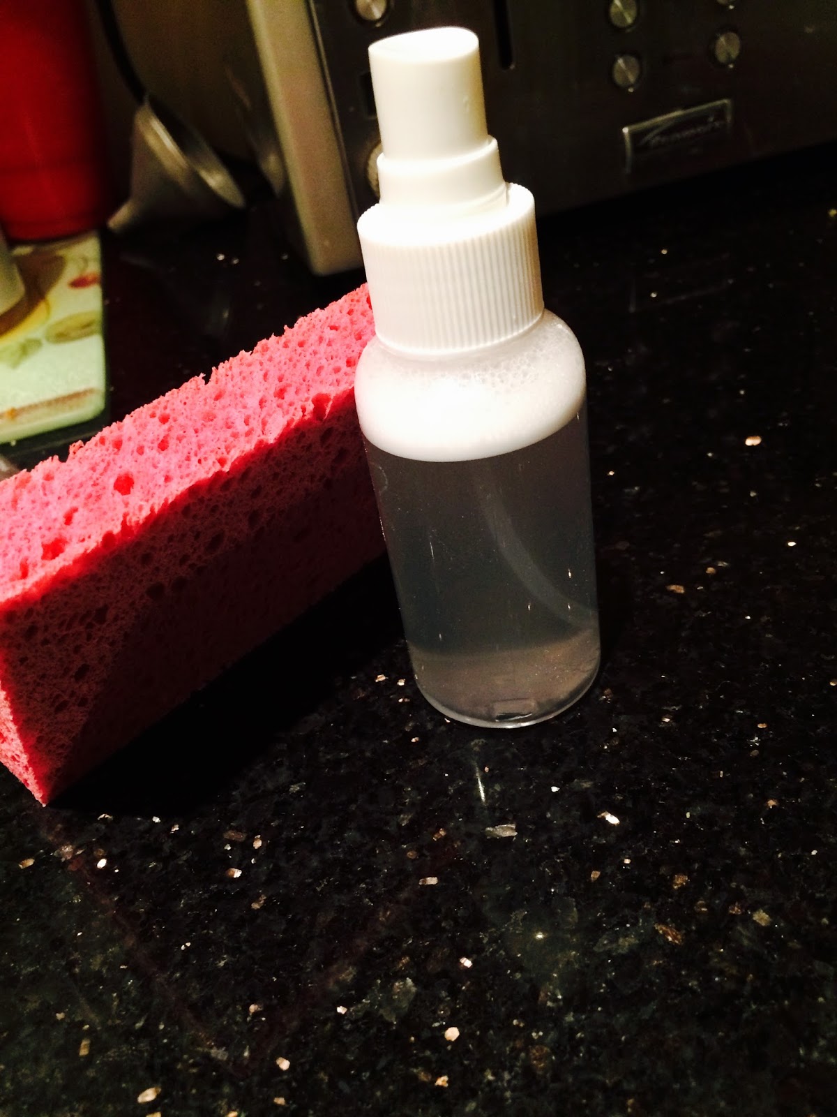 Vasti's DIY Blog DIY Carpet Cleaner Spray