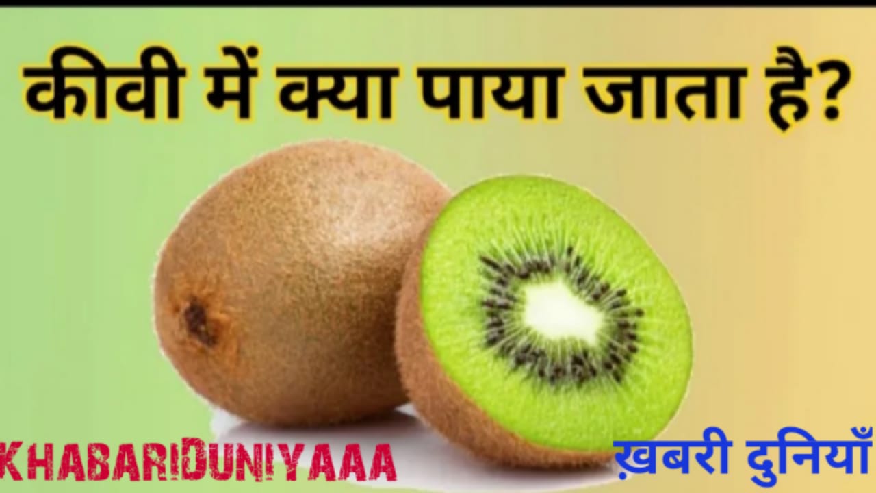 kiwi fruits benefits kiwi fruits benefits in hindi