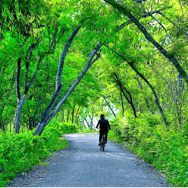 Bukit Soeharto, Ngatabaru - Wesata.ID
