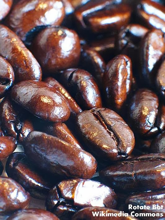 Roots 'n' Shoots Instant Compost