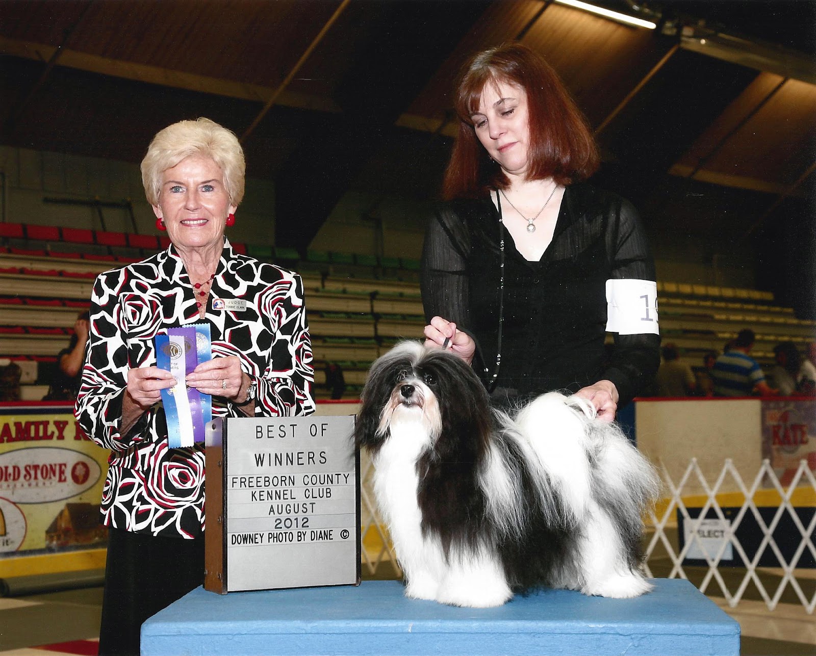 Peluito Havanese Kennel Club of Freeborn County August 1112, 2012