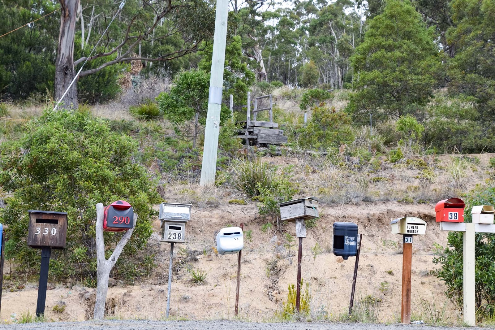 letter boxes on bruny island