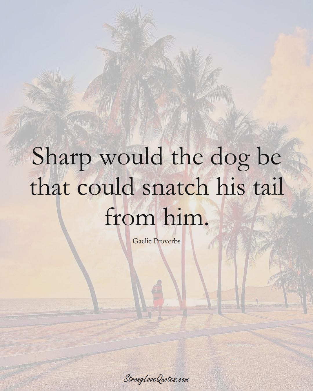 Sharp would the dog be that could snatch his tail from him. (Gaelic Sayings);  #aVarietyofCulturesSayings