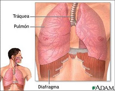 Dolor en el diafragma despues de correr