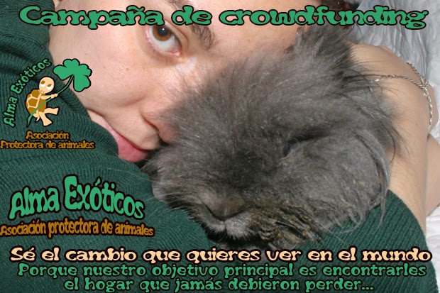  https://www.indiegogo.com/projects/alma-exotcos-ayuda-a-los-animales-mas-olvidados/x/8146268