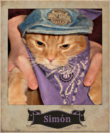 Simón