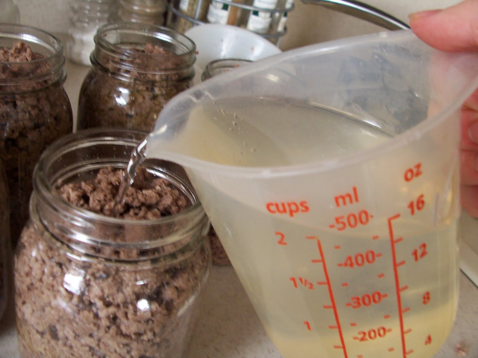 Disasters Canning Ground Beef