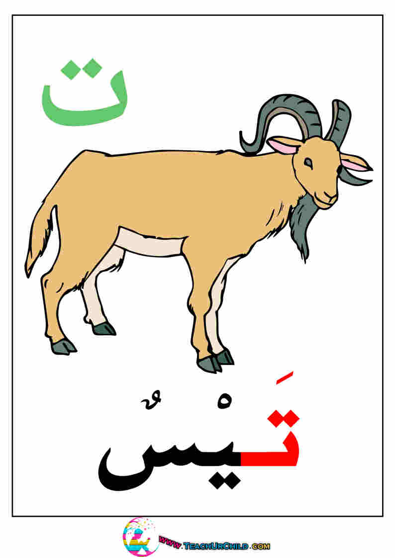 علم طفلك