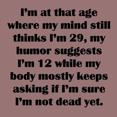 [Image: 106742347_609303626386544_5202178690143563582_n.jpg]