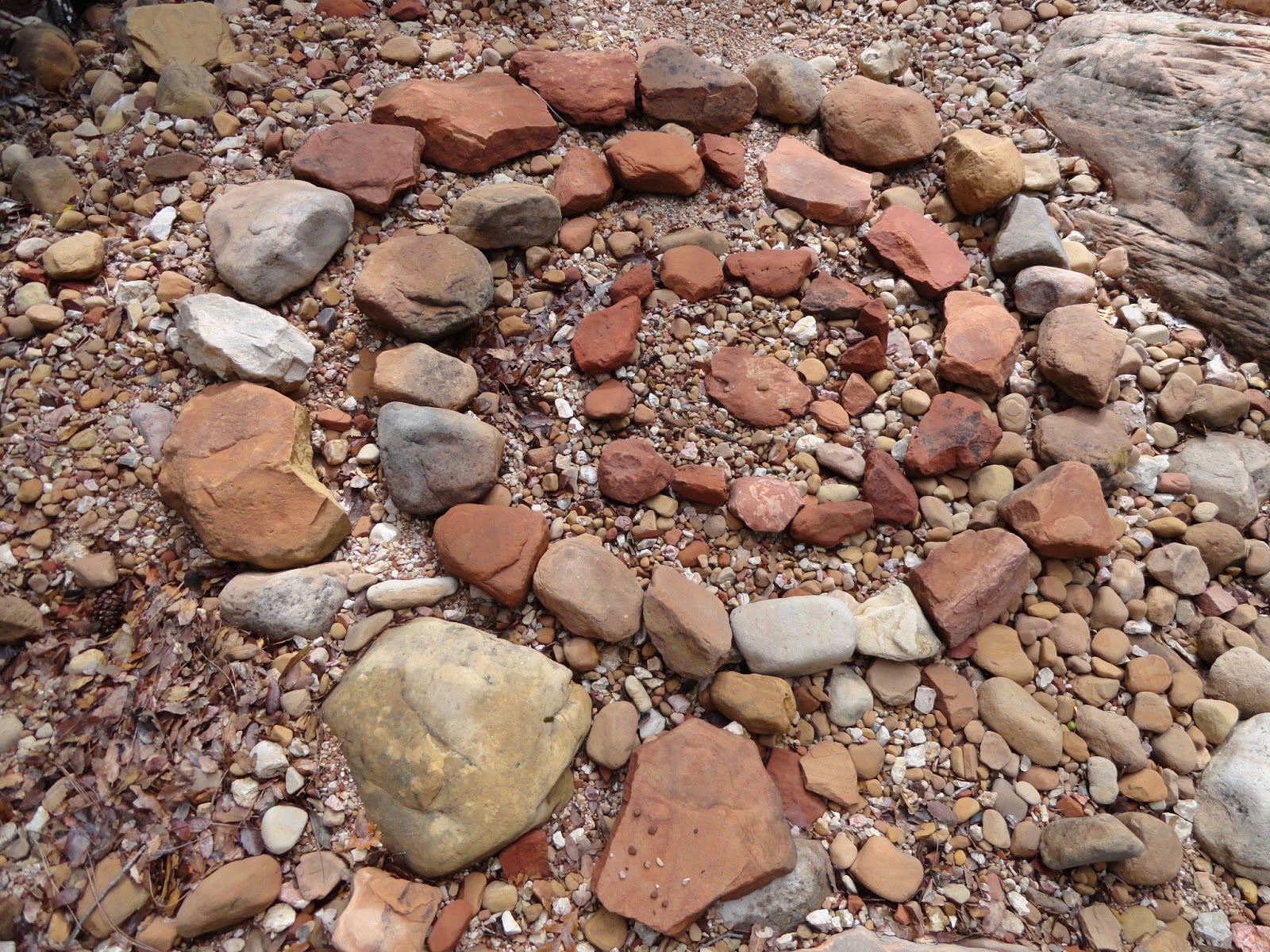 TheCarlaFoxBlog Vortexes