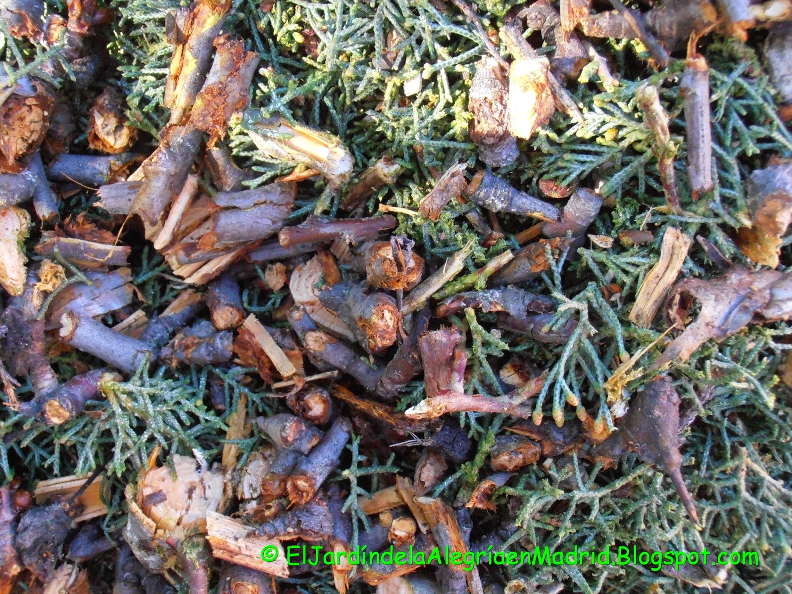 El jardín de la alegría : Hoy he hecho mi primer montón de compost con