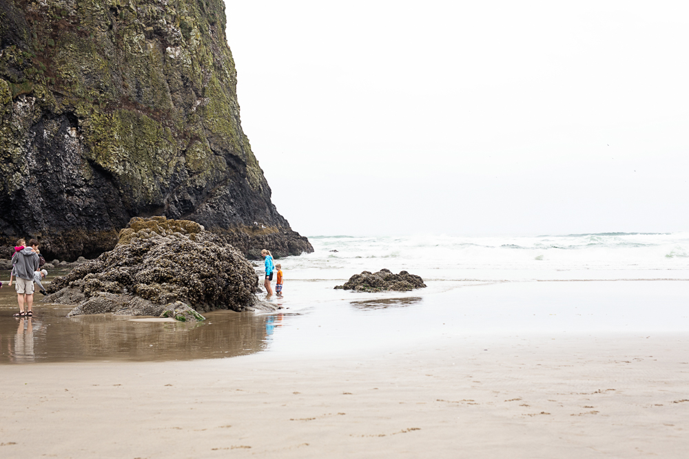 Stephanie Makes Oregon Part Ii